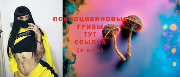 амф Алексеевка