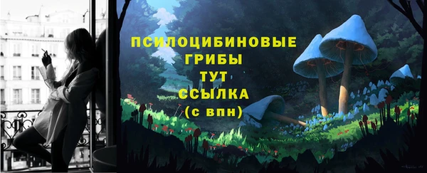 jwh Алзамай