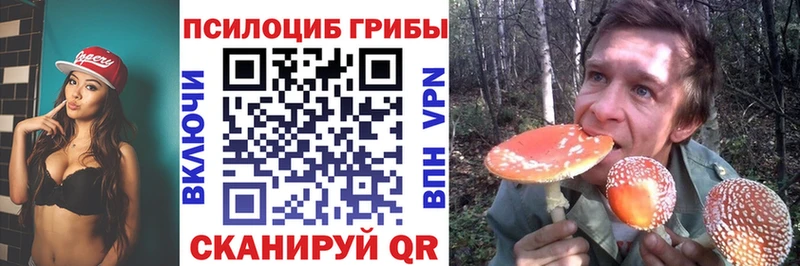 Купить  Бугульма  Галлюциногенные грибы Psilocybine cubensis 